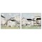 Stupell Industries Cluster of Houses View 2pc Framed Giclee Wall Art Set Design by Ethan Harper